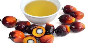 Rbd Palm Oil