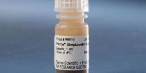 Pierce Streptavidin Magnetic Beads