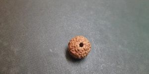 9 Face Rudraksha