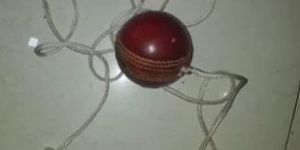 Hanging Cricket Leather Ball