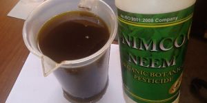 Neem Oil
