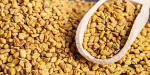 Fenugreek Seed