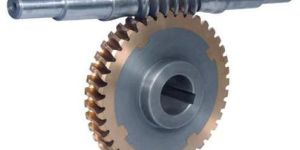 Worm Gear