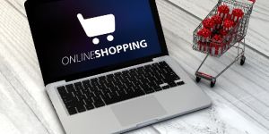 Online Store Development Services