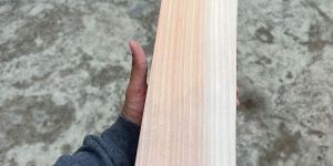 a Grade English Willow Cricket Bat