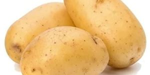 Fresh Potato