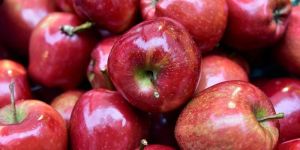 Kashmir Red Delicious Apple