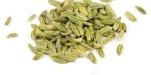 Fennel Seeds