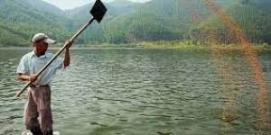 Aqua Feed Development Services