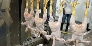 Conveyorized Poultry Dressing Plant