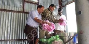 Flower Distillation Plant