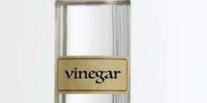 Synthetic Vinegar