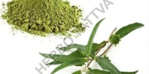Bhringraj Extract