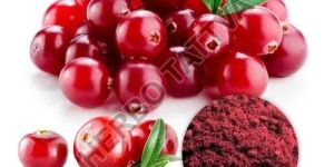 Cranberry Extract