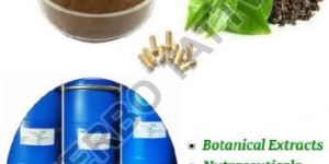 Green Tea Extract 50%-95%