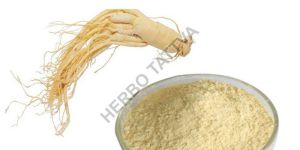 Panax Ginseng Extract