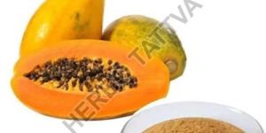 Papaya Extract
