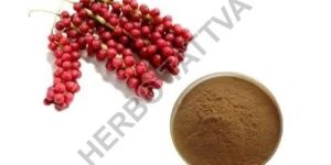 Schisandra Extract
