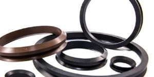 V Ring Seal