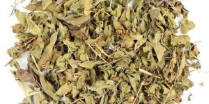 Dried Tulsi Leaves