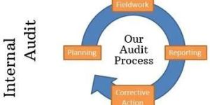 Chemical Manufacturing Process Audit