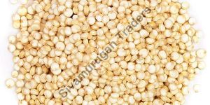 Quinoa Seeds