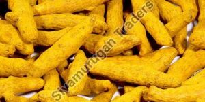 Turmeric Finger