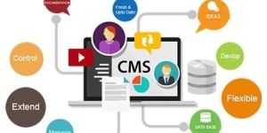 Cms Development Service