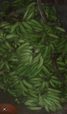 Marthandam Banana