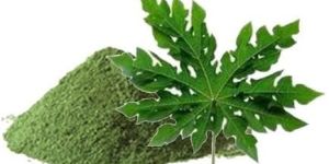 Papaya Leaves Powder