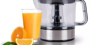 Electric Juicer