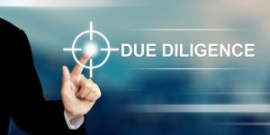 Due Diligence Services