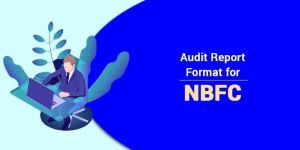 Non Banking Financial Companies Audit Services
