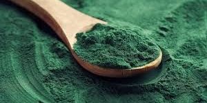 Spirulina Powder