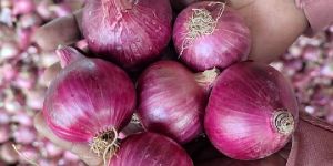 Onions