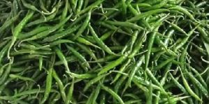 Green Chilli