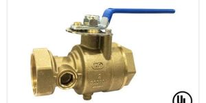 Test and Drain Valves