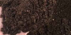 Vermicompost Fertilizer