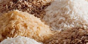 Basmati Rice