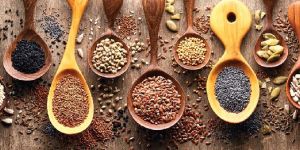 Oilseeds