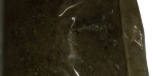 Sterlized Squid Meal