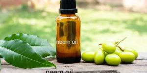 Neem Oil