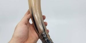 Viking Drinking Horn