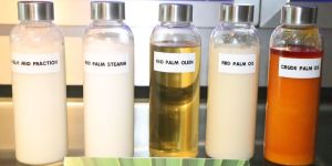Crude Palm Olein