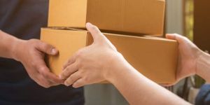 Parcel Delivery Services