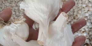 Fresh Peeled Garlic