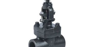 Forged Steel Valve