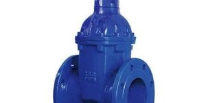 Gate Valve
