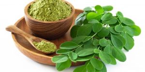 Moringa Leaf Powder