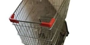 Stainless Steel Shopping Trolley